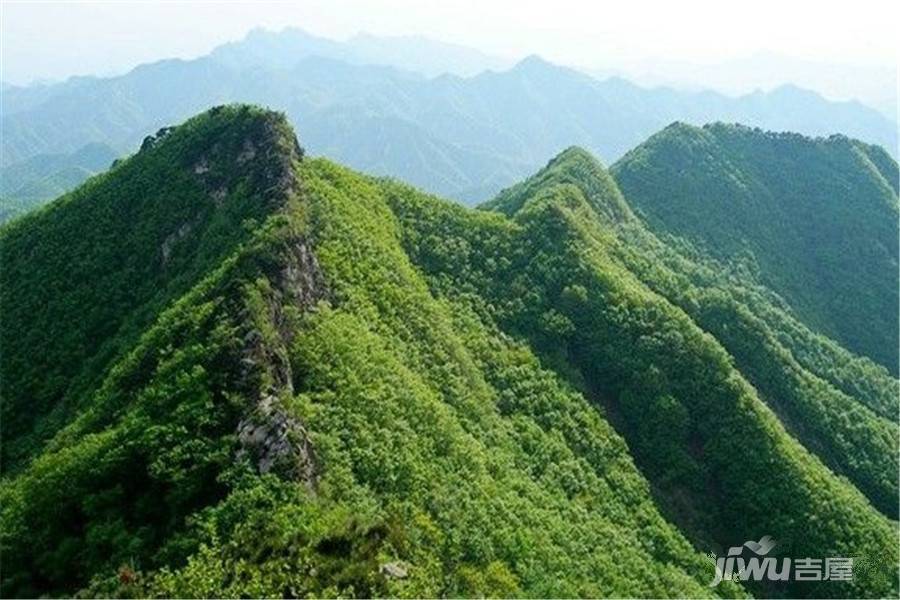 甜橙派配套图图片