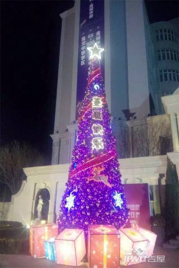万科金域华府实景图图片