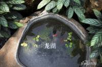 龙湖小院滟澜实景图图片