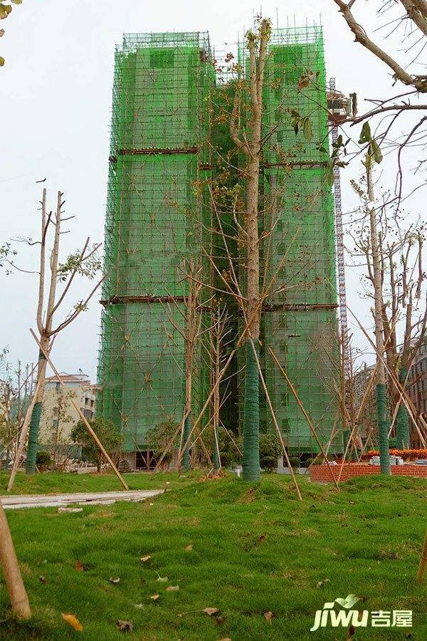 惠园阳光实景图图片