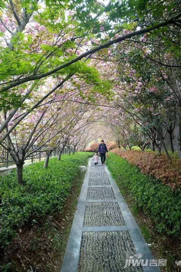 凯润花园实景图图片