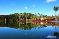 希望木棉湖山海湖国际养生度假区实景图1