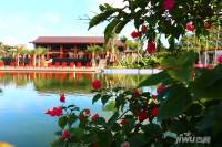 希望木棉湖山海湖国际养生度假区配套图图片