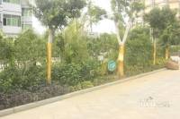 龙沐湾碧海花园实景图图片
