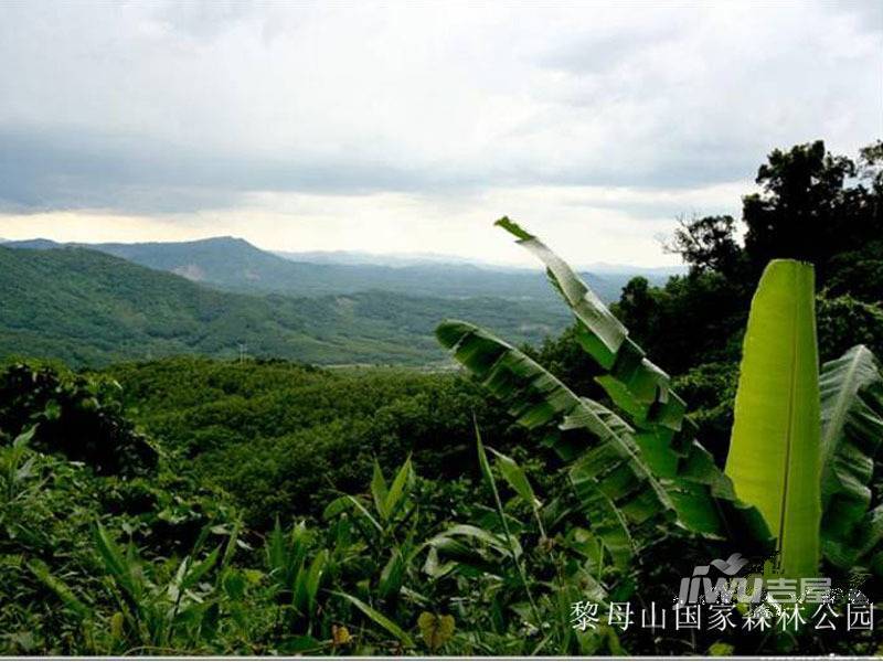 水晶绿岛配套图图片