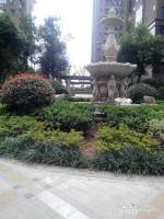 香溢江南实景图图片