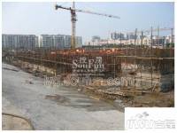 香溢江南实景图图片