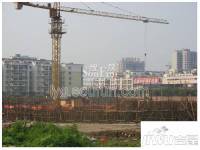 香溢江南实景图图片