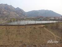 胊阳雅苑实景图10