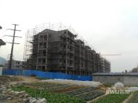 胊阳雅苑实景图10