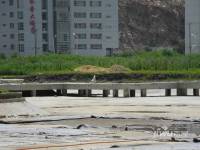 帝豪水榭花都实景图图片