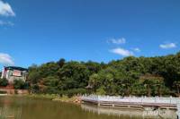 恒泰珑湖实景图图片