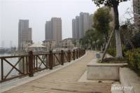 洛城·悦湖国际实景图图片
