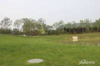 旷达太湖花园实景图图片
