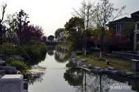 山水湖滨花园二期实景图图片
