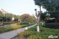 洛城紫园实景图图片