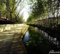 绿地西水东实景图图片