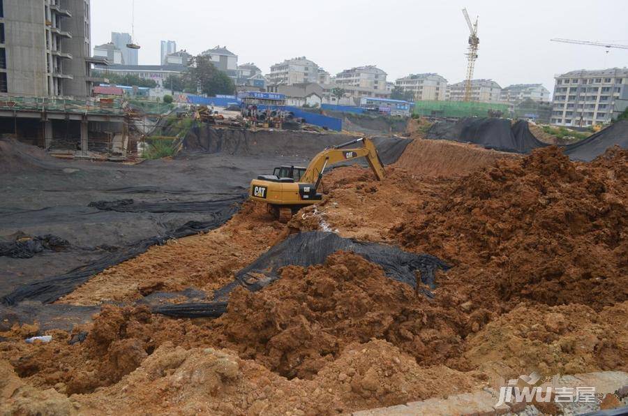 福加斯天悦府福园实景图图片