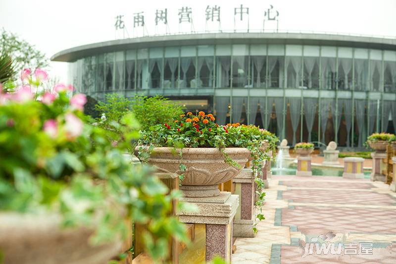 福庆花雨树实景图图片