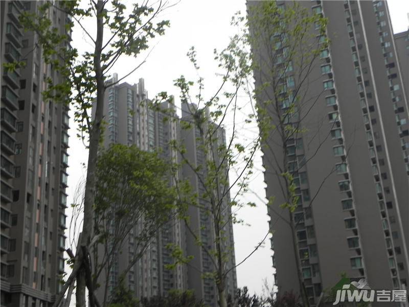 晓港名城三期尚都实景图图片