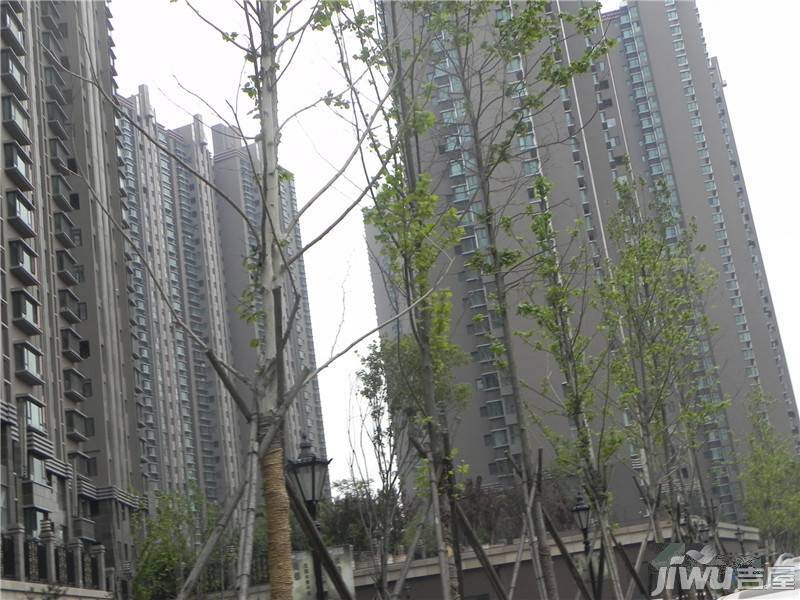 晓港名城三期尚都实景图图片