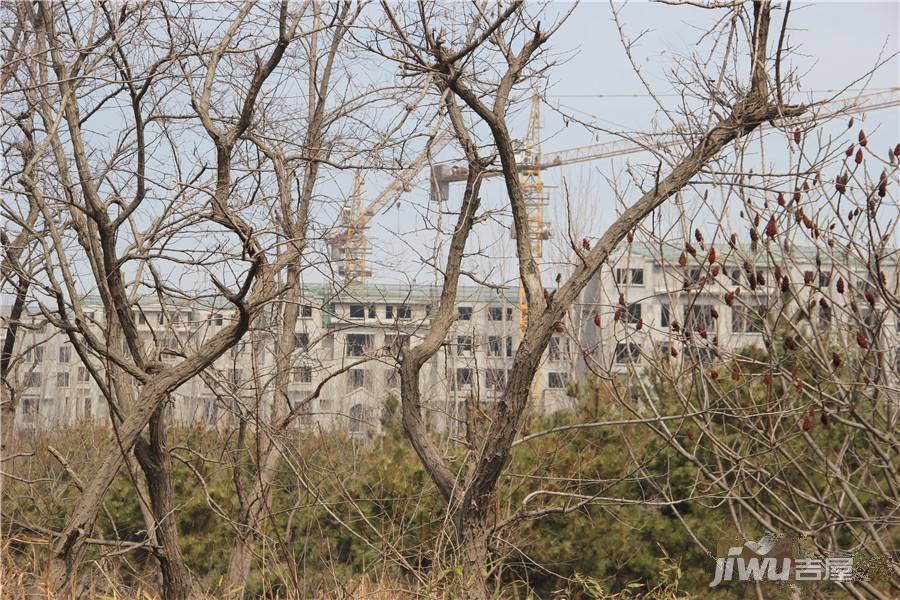 颐海蓝湾实景图图片