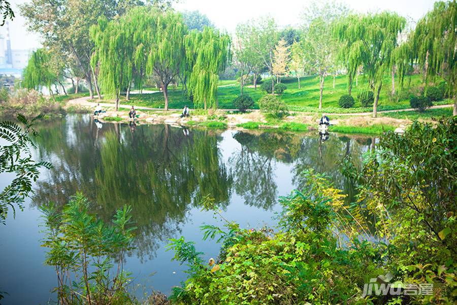 阳光香蜜湖实景图图片