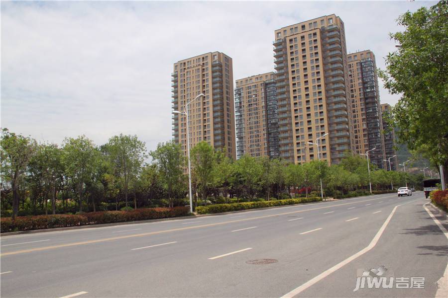 绿城理想之城郁金香岸实景图22