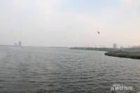 中洲半岛城邦配套图图片