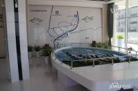 青岛国际游艇会展中心实景图图片