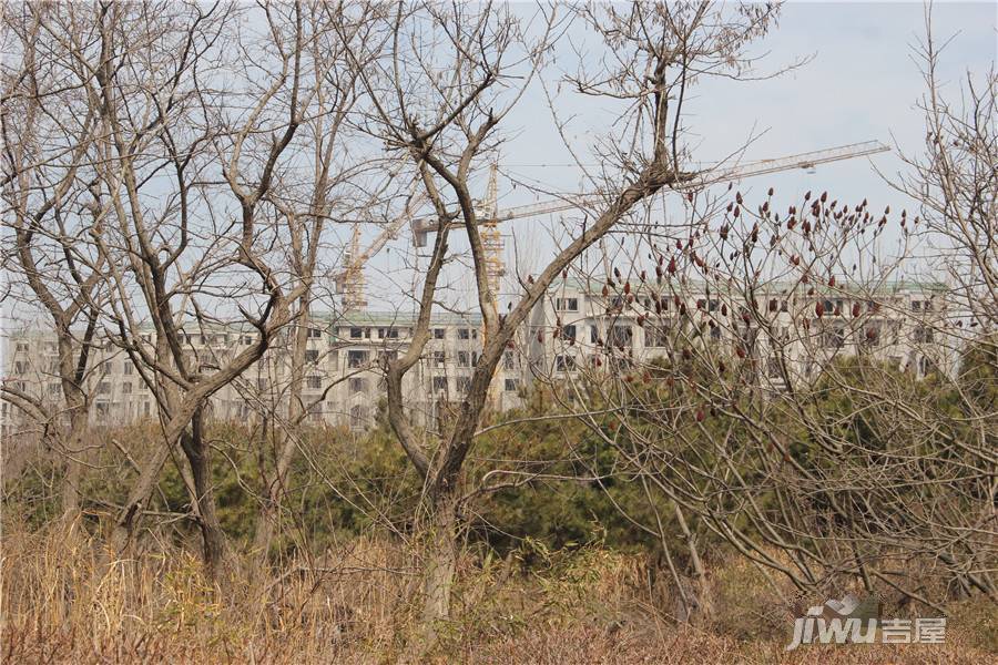 颐海蓝湾实景图图片