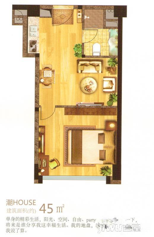 攀华国际广场普通住宅45㎡户型图