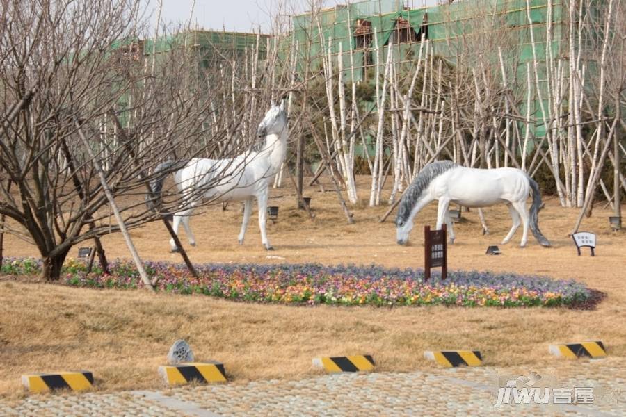 海蓝金岸实景图图片