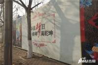 中国通新蔷薇城堡实景图图片