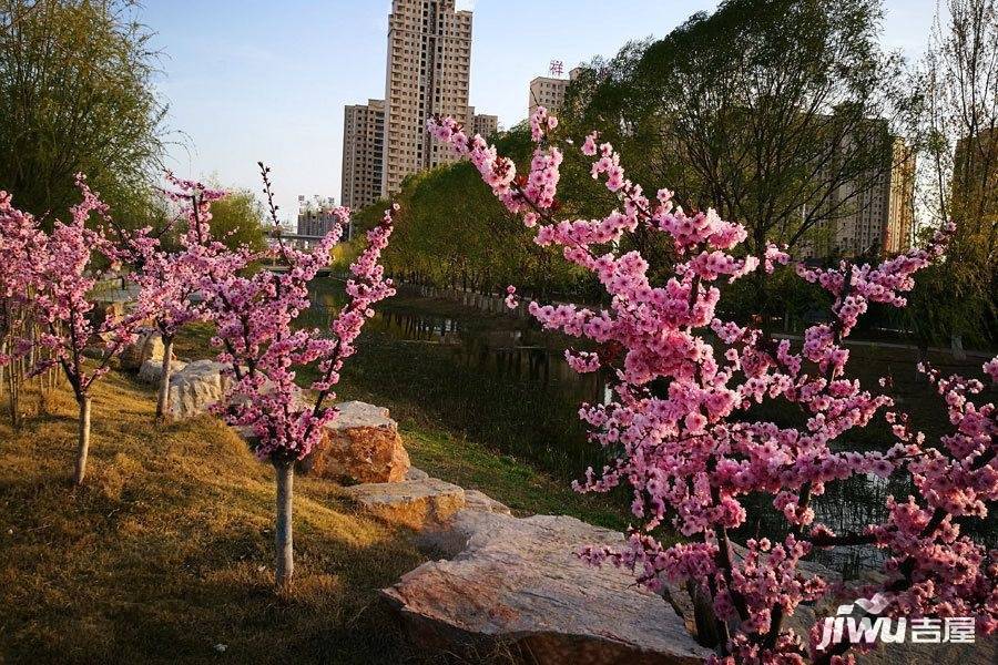 飞龙西轸新城配套图图片