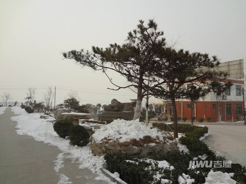 青旗山花园实景图图片