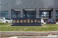 黔桂国际商务中心实景图图片