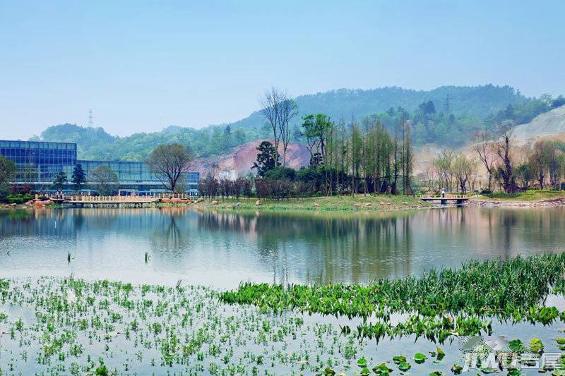 花果园实景图图片