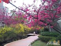 兴隆城市花园沐风园实景图图片
