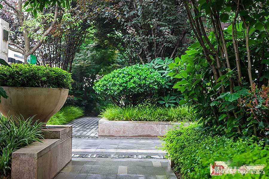 万科玲珑湾实景图图片