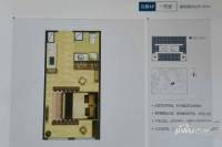 招商蛇口天津网谷1室1厅1卫25㎡户型图