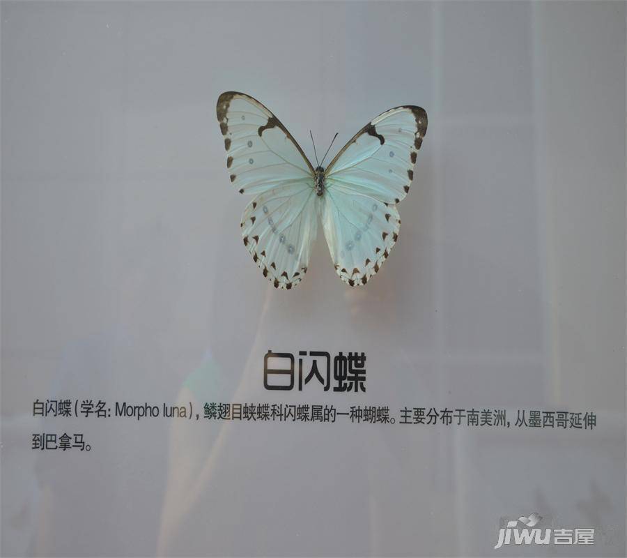 广鑫帝景城实景图图片