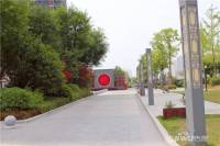 金泰滨江花城实景图图片