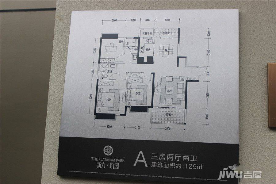 新力铂园样板间图片