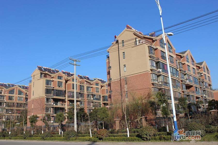 滨湖新城实景图图片