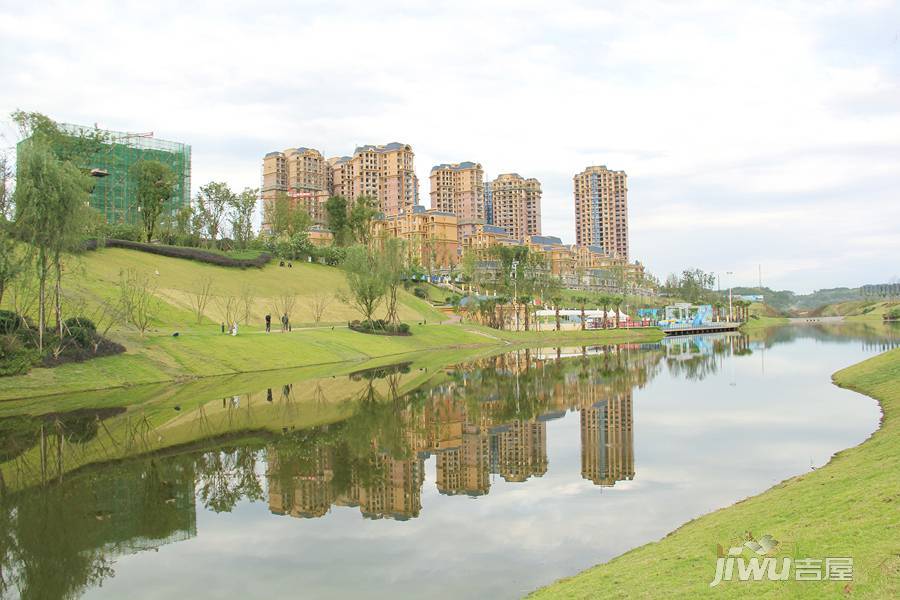 置信逸都仁湖花园实景图图片