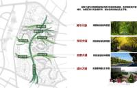 重向枣山国际规划图图片