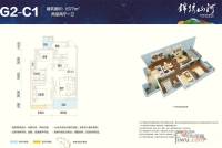 锦绣山河低碳智慧新城2室2厅1卫78.7㎡户型图