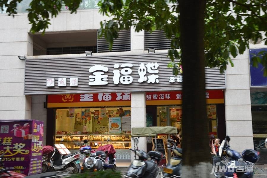 中强普罗旺斯实景图图片