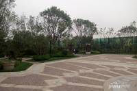 新华联国花园实景图图片